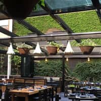 Breezefree Retractable Skylights